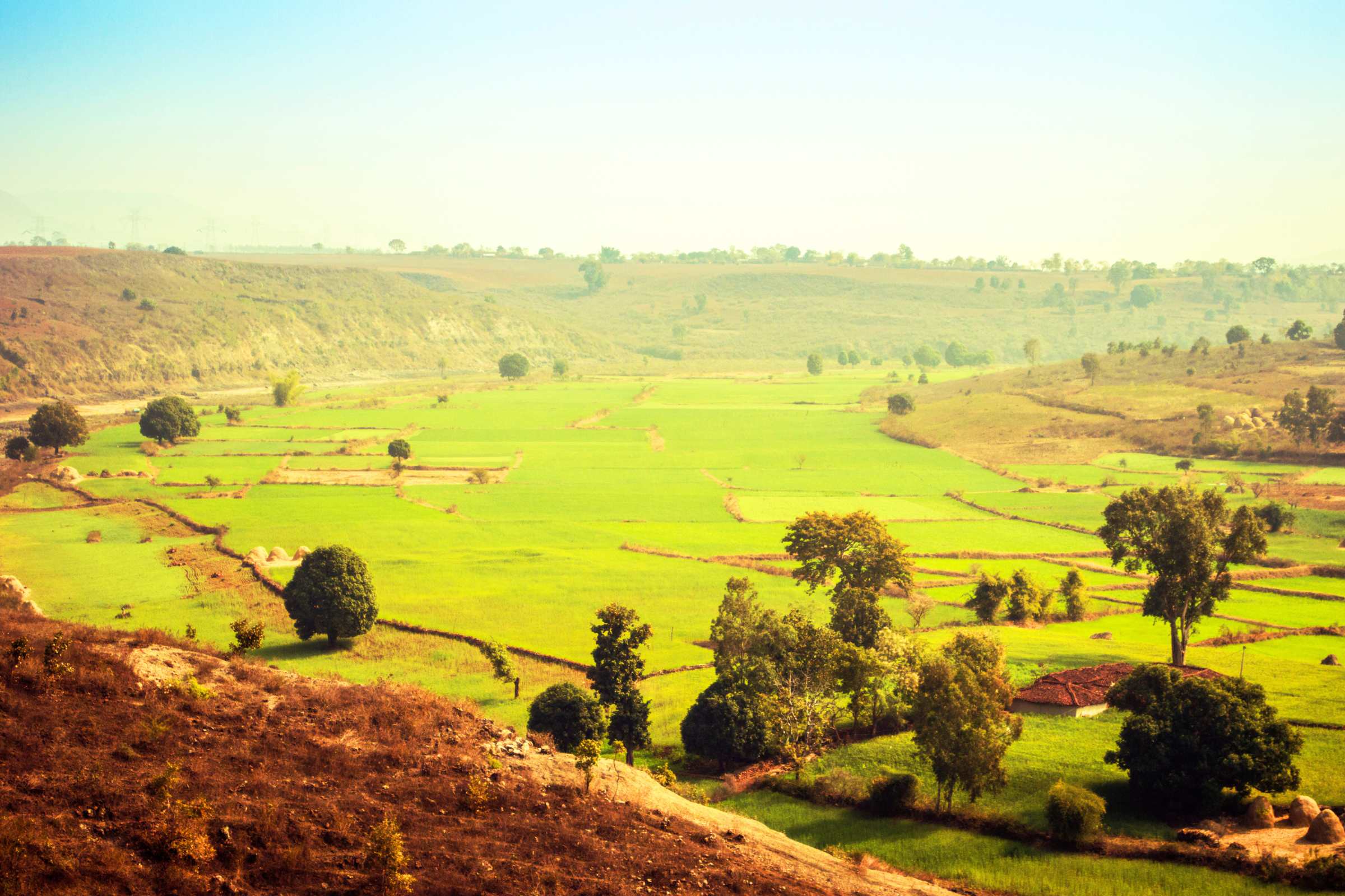 10_Katni[1].webp